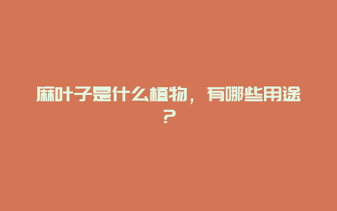 麻叶子是什么植物，有哪些用途？