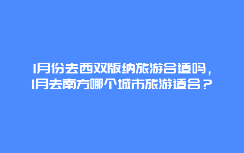 1月份去西双版纳旅游合适吗，1月去南方哪个城市旅游适合？