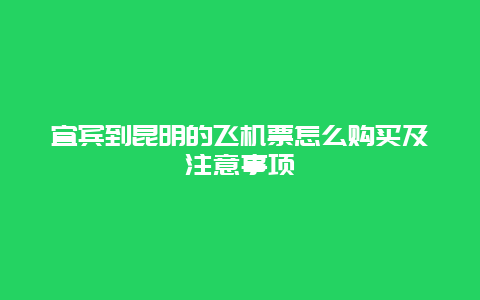 宜宾到昆明的飞机票怎么购买及注意事项