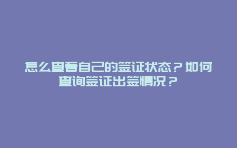 怎么查看自己的签证状态？如何查询签证出签情况？