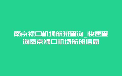 南京禄口机场航班查询_快速查询南京禄口机场航班信息