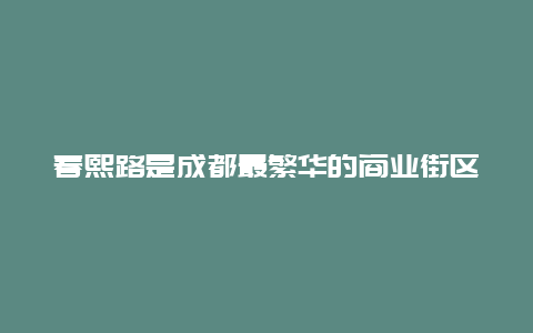 春熙路是成都最繁华的商业街区