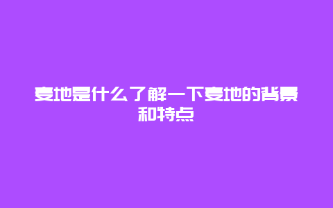 麦地是什么了解一下麦地的背景和特点