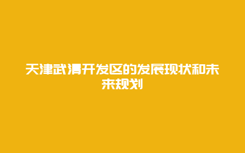 天津武清开发区的发展现状和未来规划