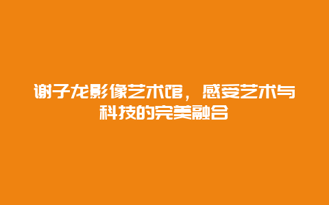 谢子龙影像艺术馆，感受艺术与科技的完美融合