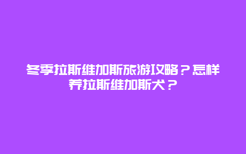 冬季拉斯维加斯旅游攻略？怎样养拉斯维加斯犬？