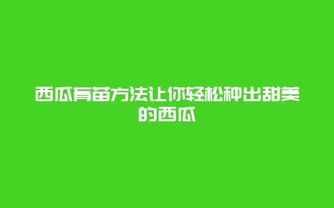 西瓜育苗方法让你轻松种出甜美的西瓜