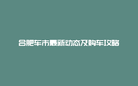 合肥车市最新动态及购车攻略