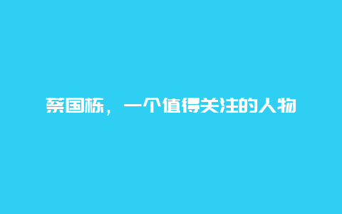 蔡国栋，一个值得关注的人物