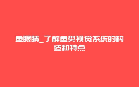 鱼眼睛_了解鱼类视觉系统的构造和特点