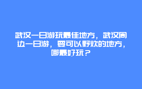 武汉一日游玩最佳地方，武汉周边一日游，要可以野炊的地方，哪最好玩？