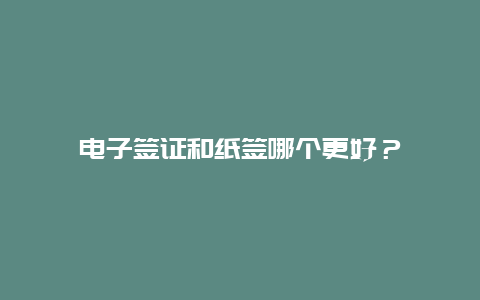 电子签证和纸签哪个更好？