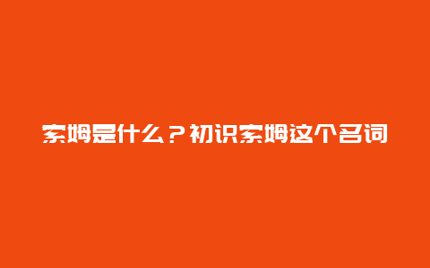 索姆是什么？初识索姆这个名词