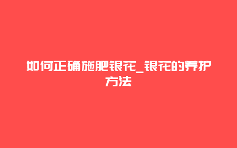 如何正确施肥银花_银花的养护方法