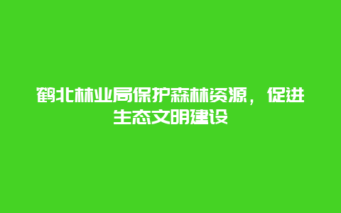 鹤北林业局保护森林资源，促进生态文明建设