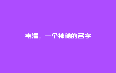 韦温，一个神秘的名字