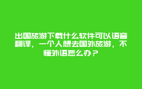 出国旅游下载什么软件可以语音翻译，一个人想去国外旅游，不懂外语怎么办？