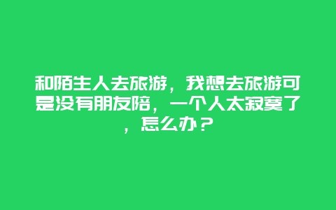 和陌生人去旅游，我想去旅游可是没有朋友陪，一个人太寂寞了，怎么办？