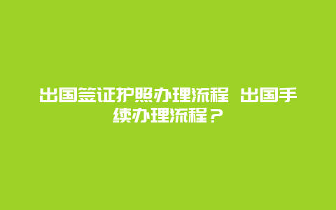 出国签证护照办理流程 出国手续办理流程？