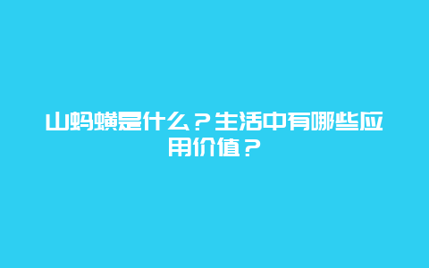 山蚂蟥是什么？生活中有哪些应用价值？