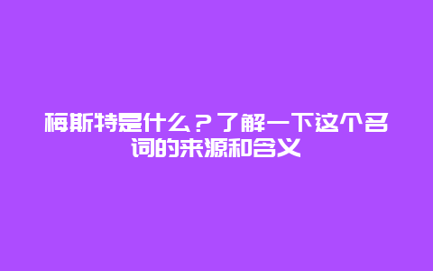 梅斯特是什么？了解一下这个名词的来源和含义