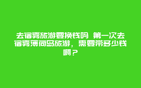 去宿雾旅游要换钱吗 第一次去宿雾薄荷岛旅游，需要带多少钱啊？