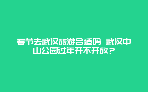 春节去武汉旅游合适吗 武汉中山公园过年开不开放？