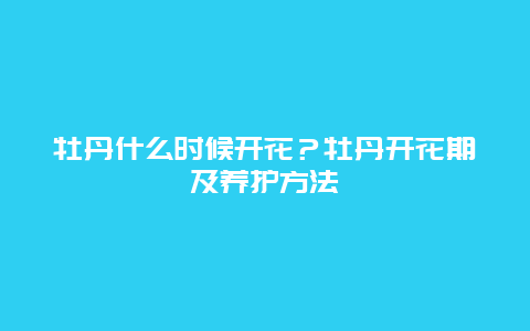 牡丹什么时候开花？牡丹开花期及养护方法