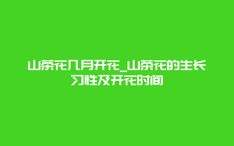 山茶花几月开花_山茶花的生长习性及开花时间