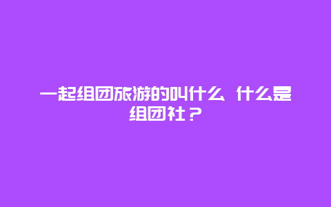 一起组团旅游的叫什么 什么是组团社？