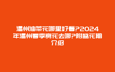 温州油菜花哪里好看?2024年温州春季赏花去哪?附盛花期介绍