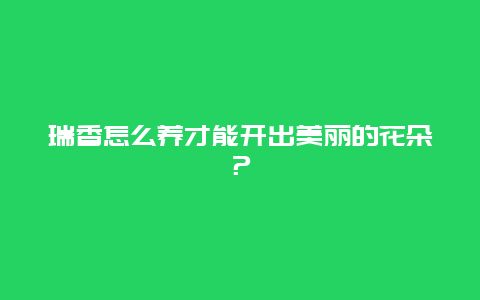 瑞香怎么养才能开出美丽的花朵？