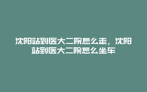 沈阳站到医大二院怎么走，沈阳站到医大二院怎么坐车