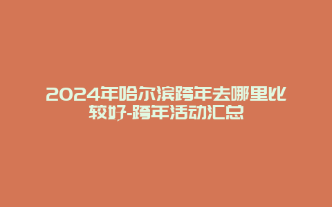 2024年哈尔滨跨年去哪里比较好-跨年活动汇总