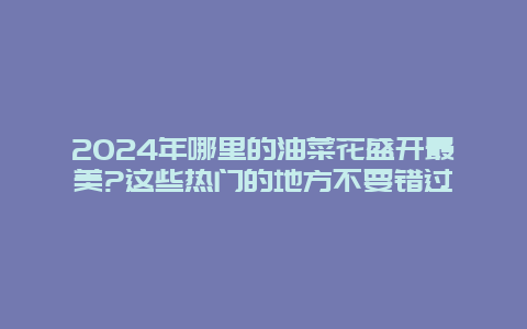 2024年哪里的油菜花盛开最美?这些热门的地方不要错过