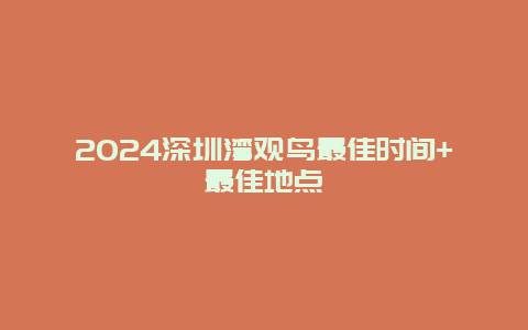 2024深圳湾观鸟最佳时间+最佳地点