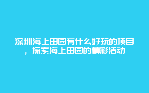 深圳海上田园有什么好玩的项目，探索海上田园的精彩活动