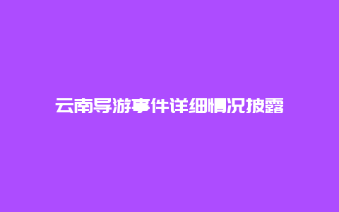 云南导游事件详细情况披露