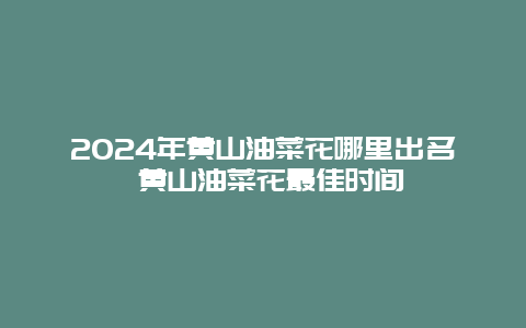 2024年黄山油菜花哪里出名 黄山油菜花最佳时间