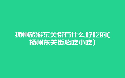 扬州旅游东关街有什么好吃的(扬州东关街必吃小吃)