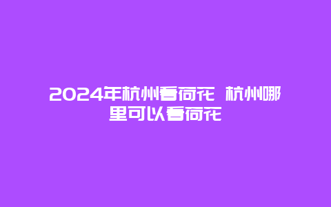 2024年杭州看荷花 杭州哪里可以看荷花