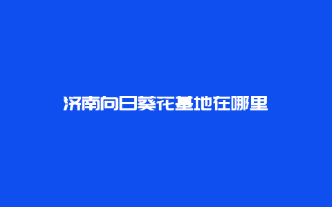 济南向日葵花基地在哪里