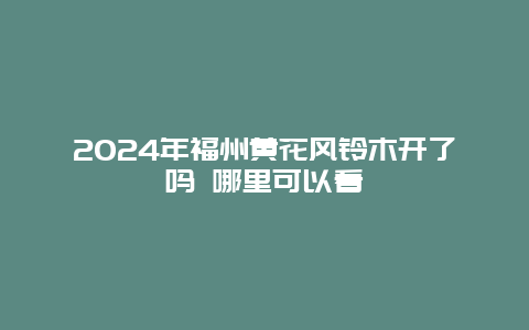 2024年福州黄花风铃木开了吗 哪里可以看