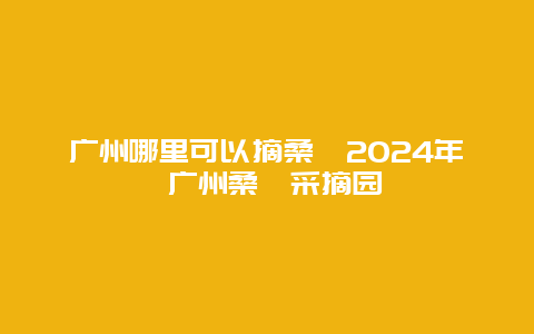 广州哪里可以摘桑葚2024年 广州桑葚采摘园