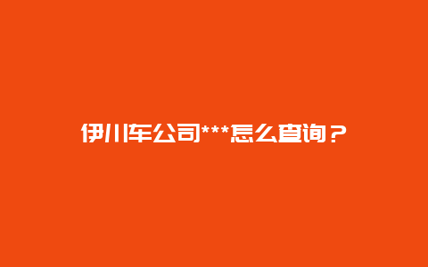 伊川车公司***怎么查询？