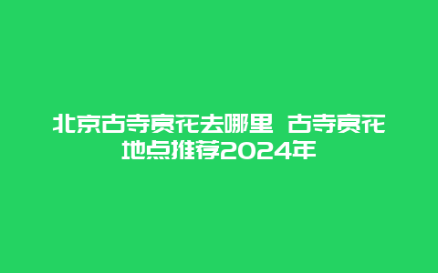 北京古寺赏花去哪里 古寺赏花地点推荐2024年