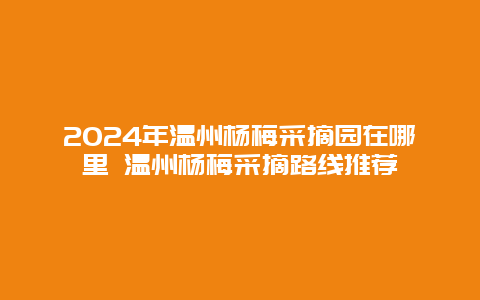 2024年温州杨梅采摘园在哪里 温州杨梅采摘路线推荐