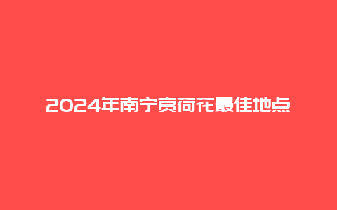 2024年南宁赏荷花最佳地点