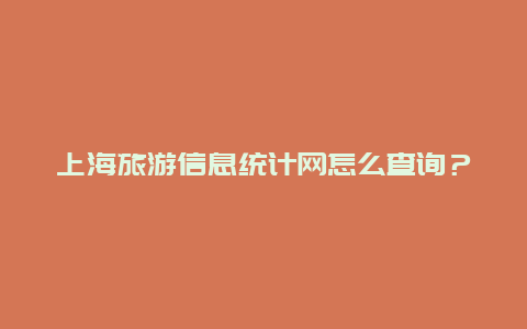 上海旅游信息统计网怎么查询？