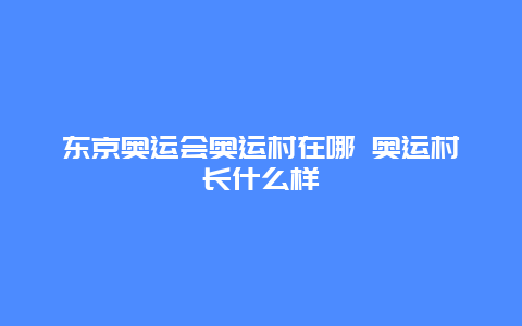 东京奥运会奥运村在哪 奥运村长什么样